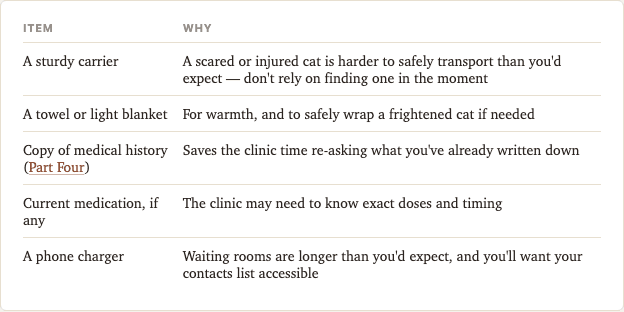 Sample page from Emergency Cat Care Planner