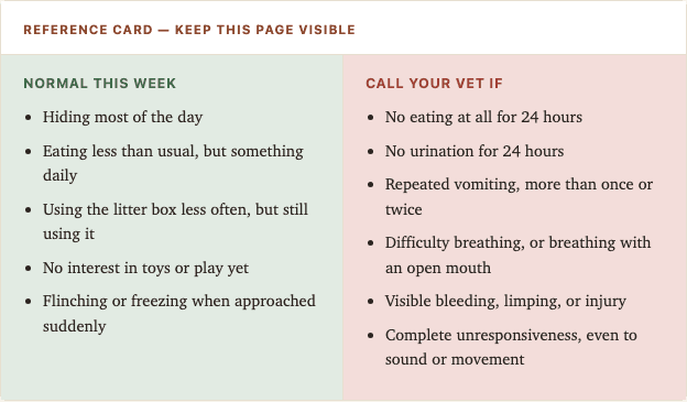 Sample page from The First 30 Days Kit