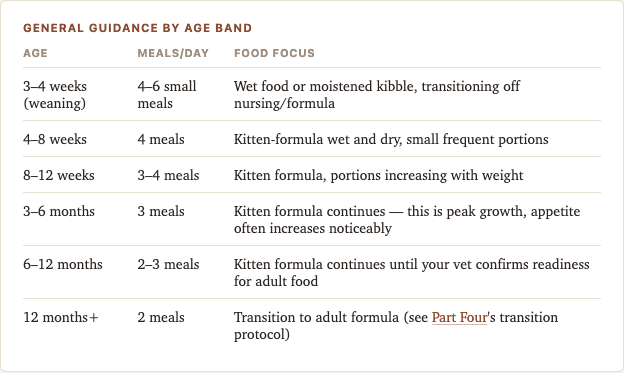 Sample page from Kitten Feeding Planner