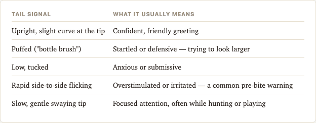 Sample page from Cat Behavior Journal