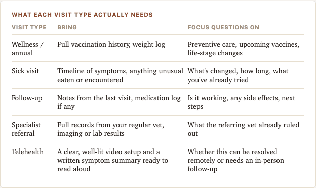 Sample page from Cat Vet Visit Planner