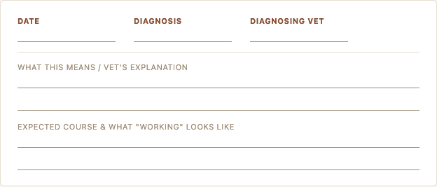 Sample page from Cat Vet Visit Planner